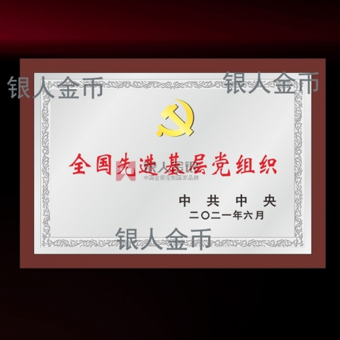 兩優(yōu)一先獎牌全國先進基層黨組織獎牌