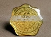 十長(zhǎng)生滴膠胸章,滴塑胸章