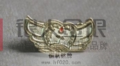 全國(guó)抗旱紀(jì)念徽章,防災(zāi)抗災(zāi)紀(jì)念章